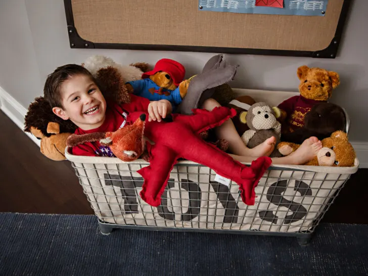 Toy Bin of Stuffed Animals