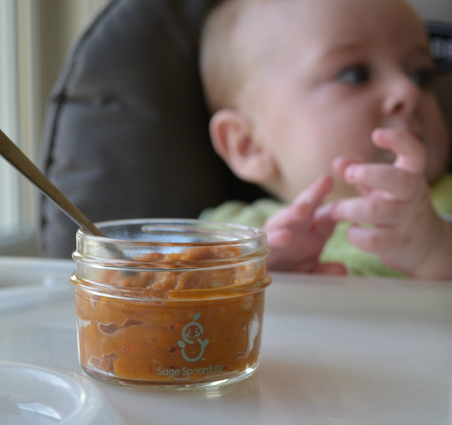 Homemade Sweet Potato Baby Food