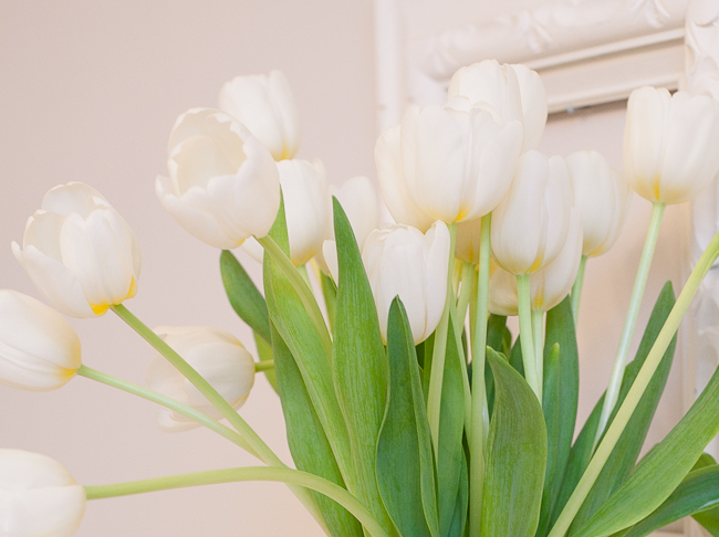 White Tulips