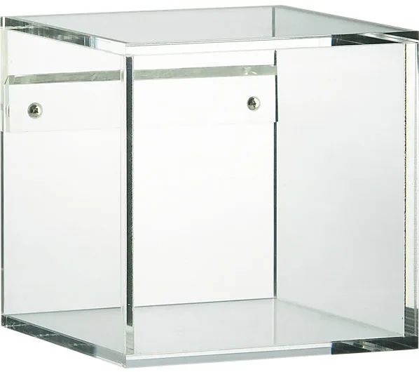 Lucite Cube Shelf from CB2