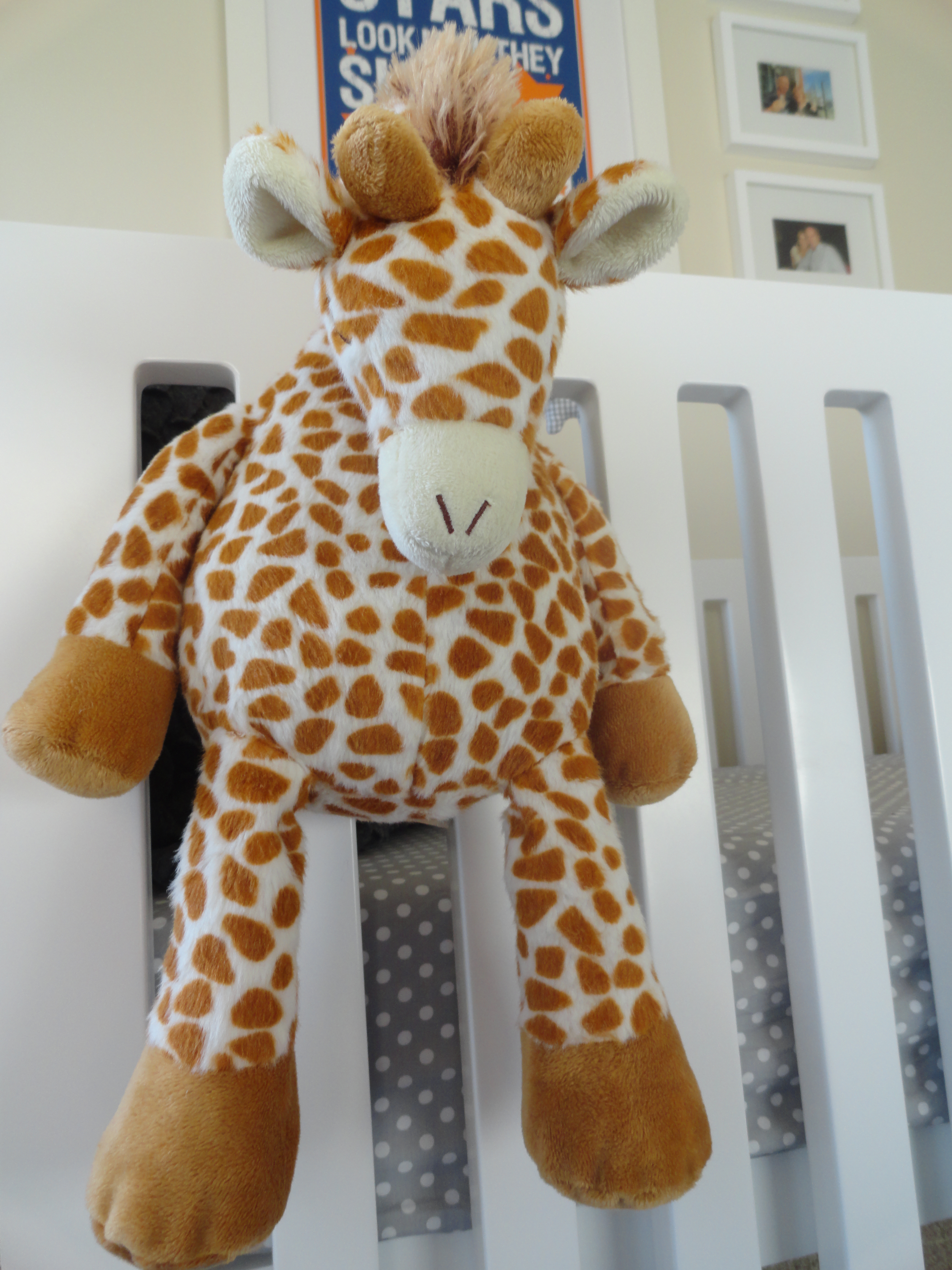 Giraffe Sound Sleep Machine