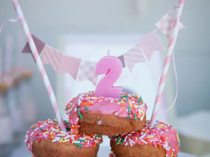 Donut 2nd Birthday Party Cake