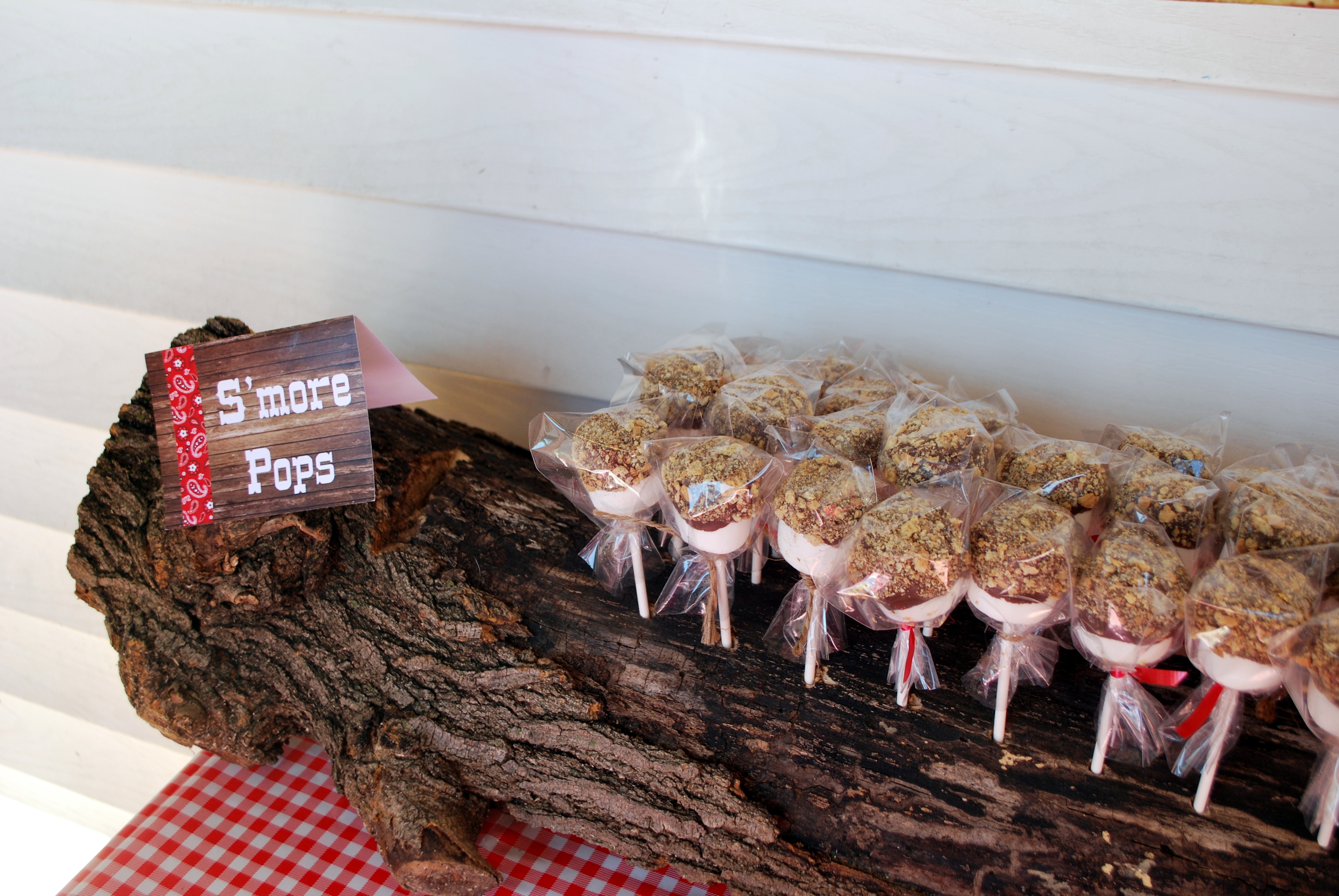 S'mores Pops on Display in Tree Trunk Stand