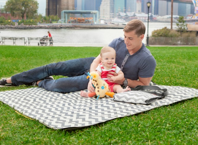 The Best Picnic Blankets - Project Nursery