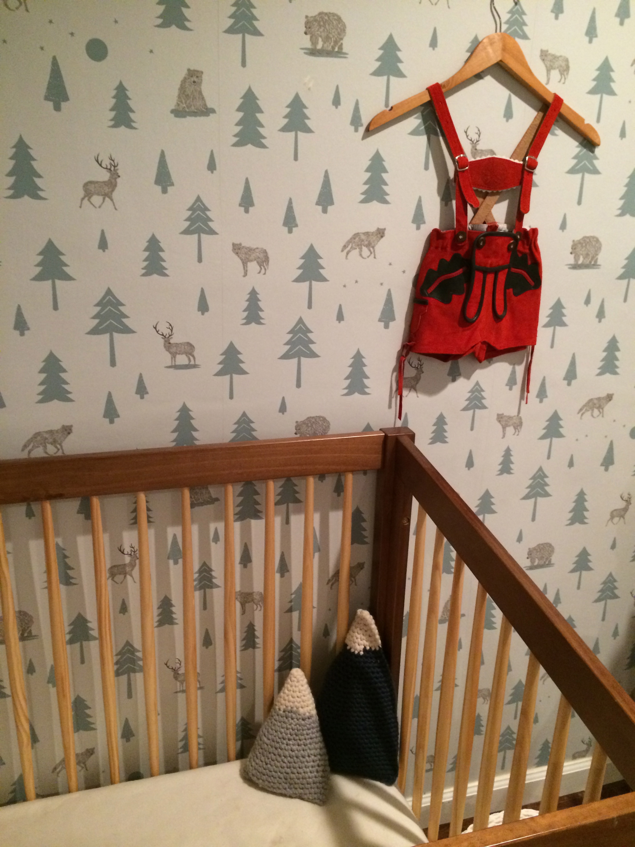 Into the Wild Wallpaper in this Alpine Themed Nursery
