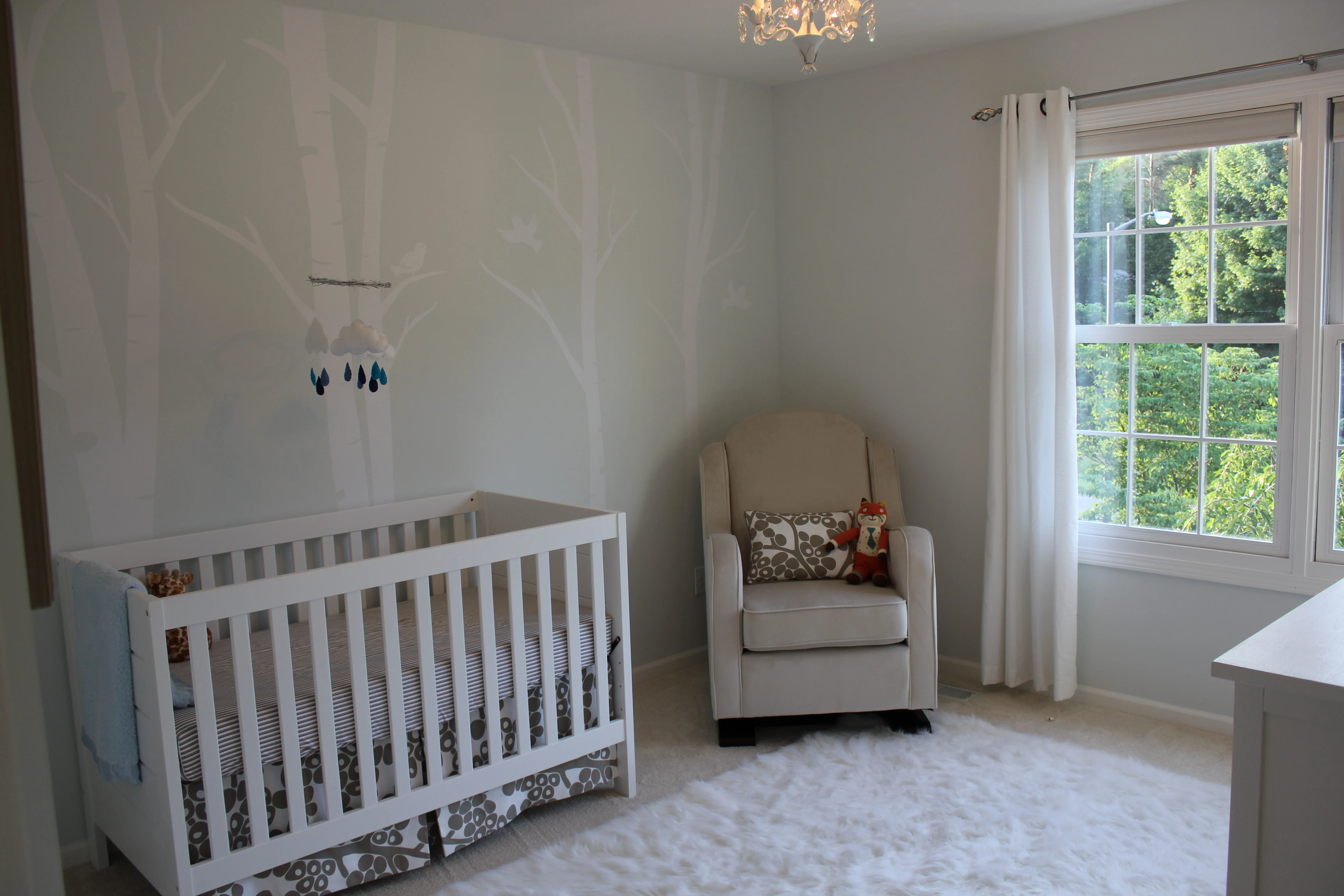 Birch Tree Decal Accent Wall
