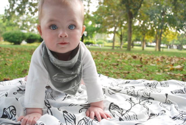 Bamboo Blankie and Bibs Bandana from Nest Designs