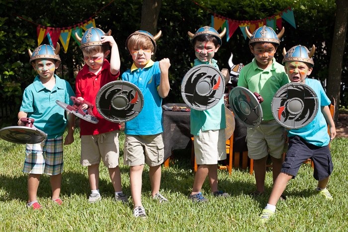 How to Train Your Dragon Birthday Party