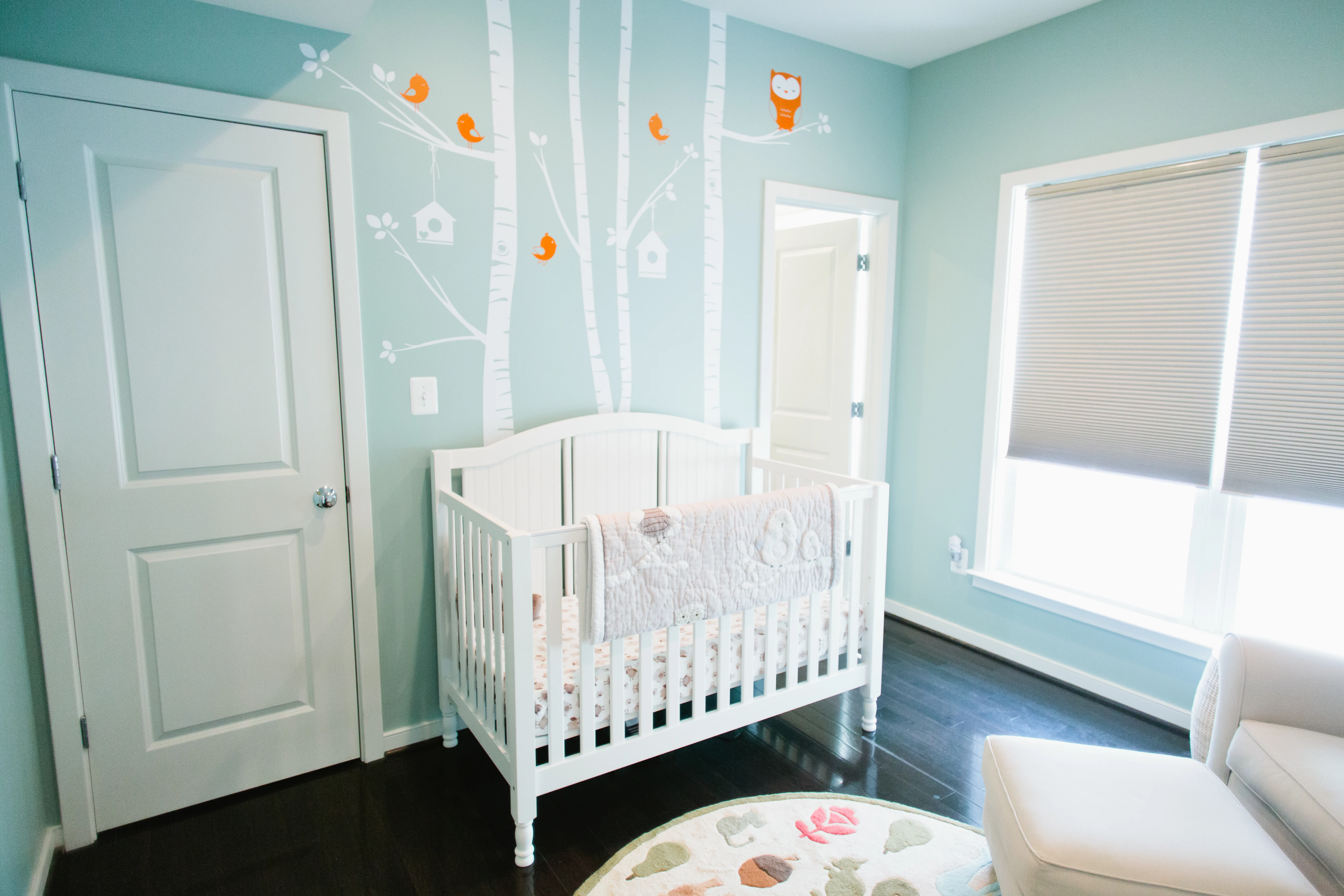 Blue Owl Nursery with Birch Tree and Owl Wall Decals