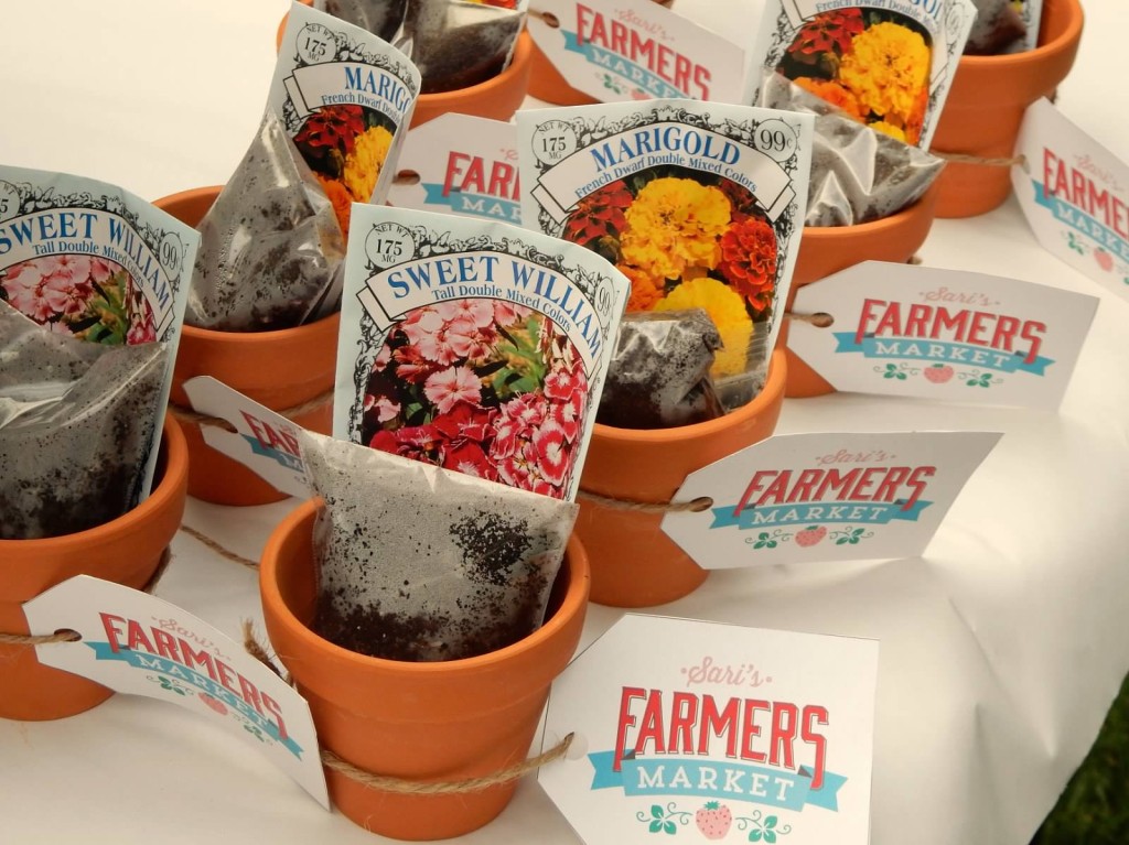 Terra Cotta Pots with Soil and Seeds for Farmers Market Party Favors