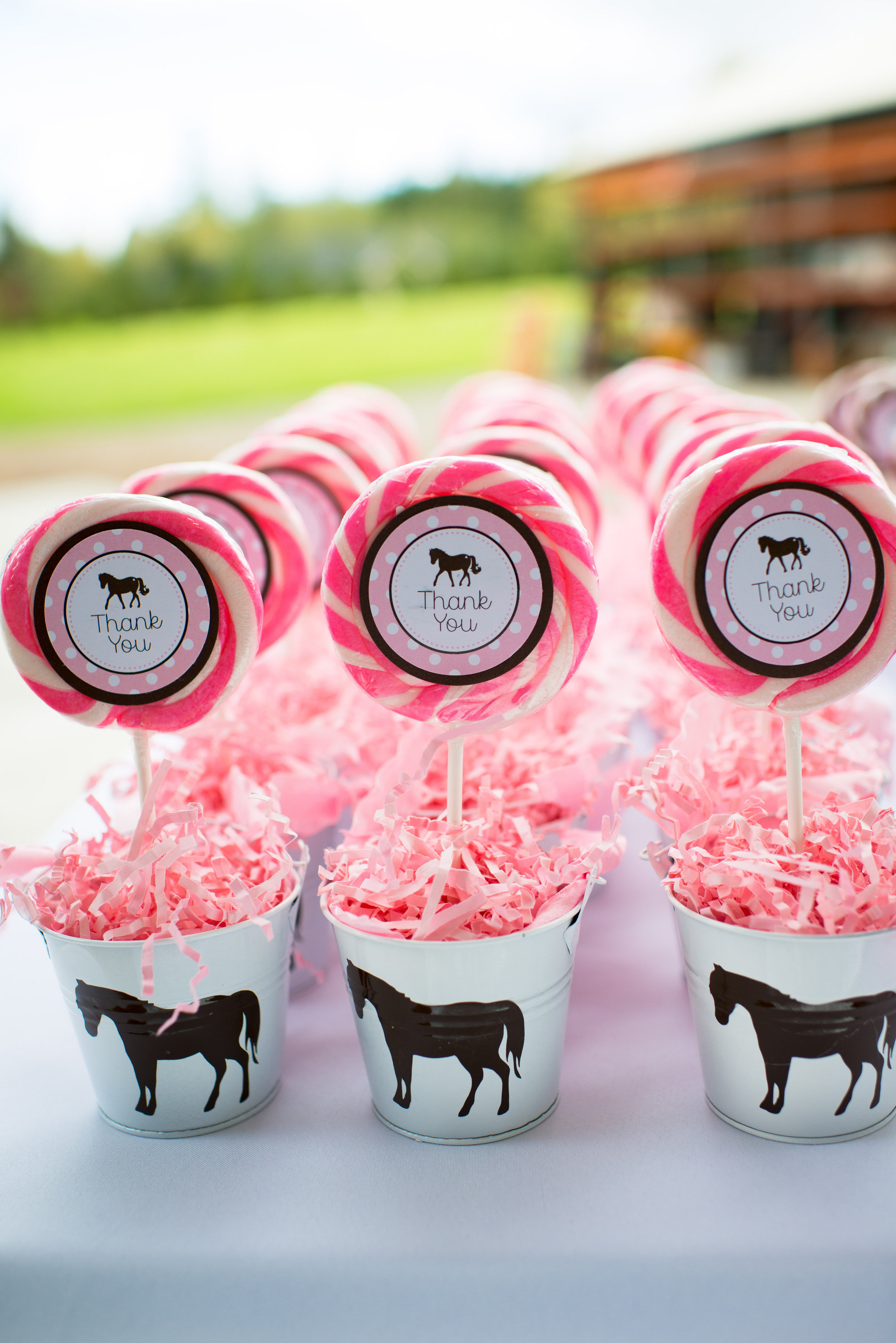 Pony Metal Favor Buckets with Giant Lolipops