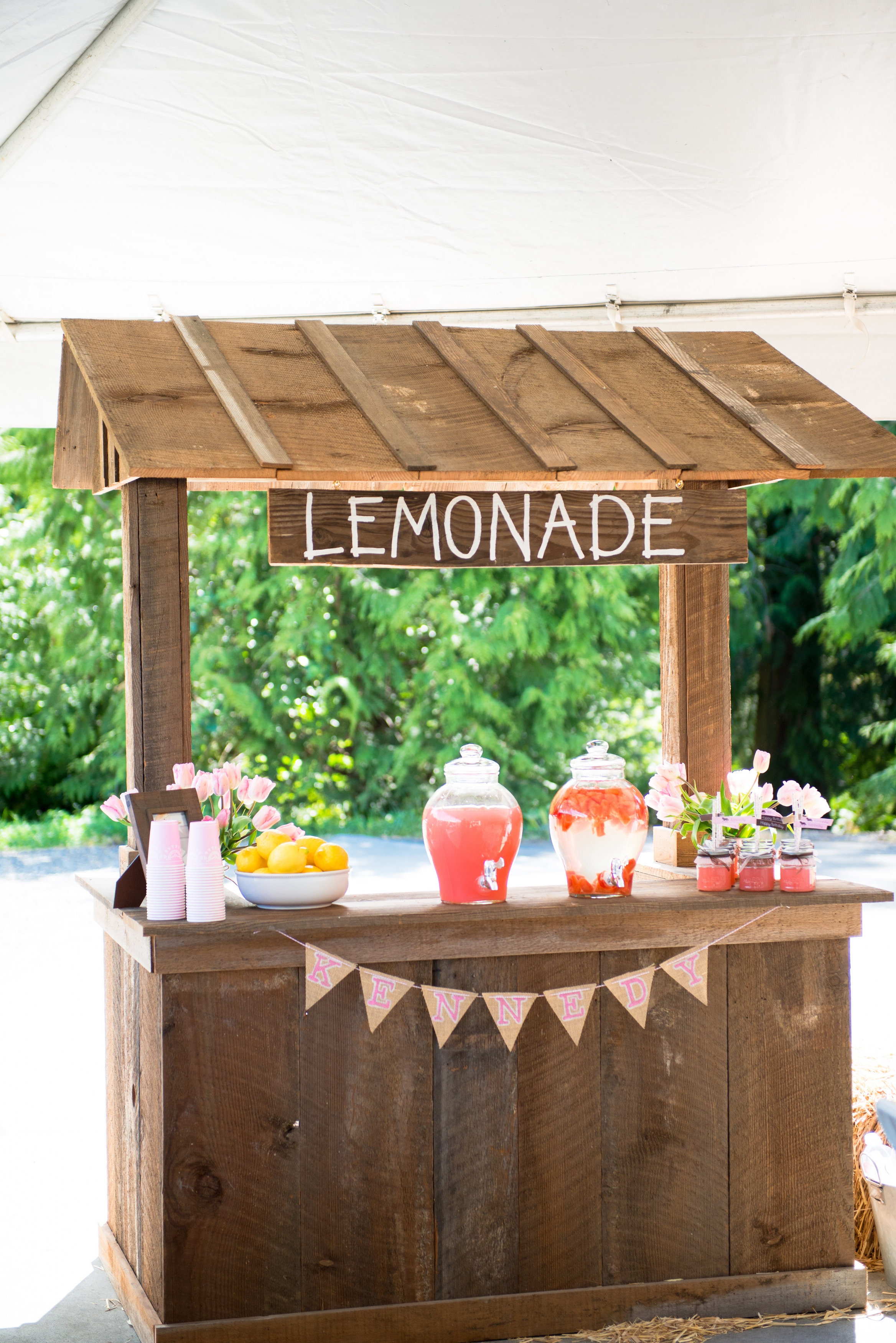 Lemonade Stand at this Pony Birthday Party