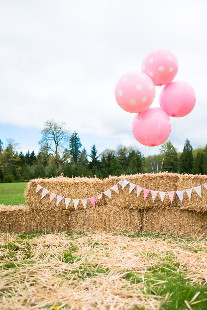 A Pink And Brown Pony Birthday Party Project Nursery