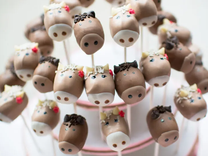 Pony Cake Pops