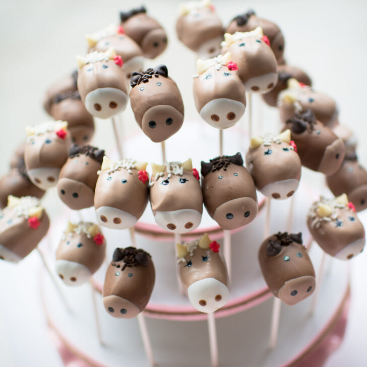 Pony Cake Pops