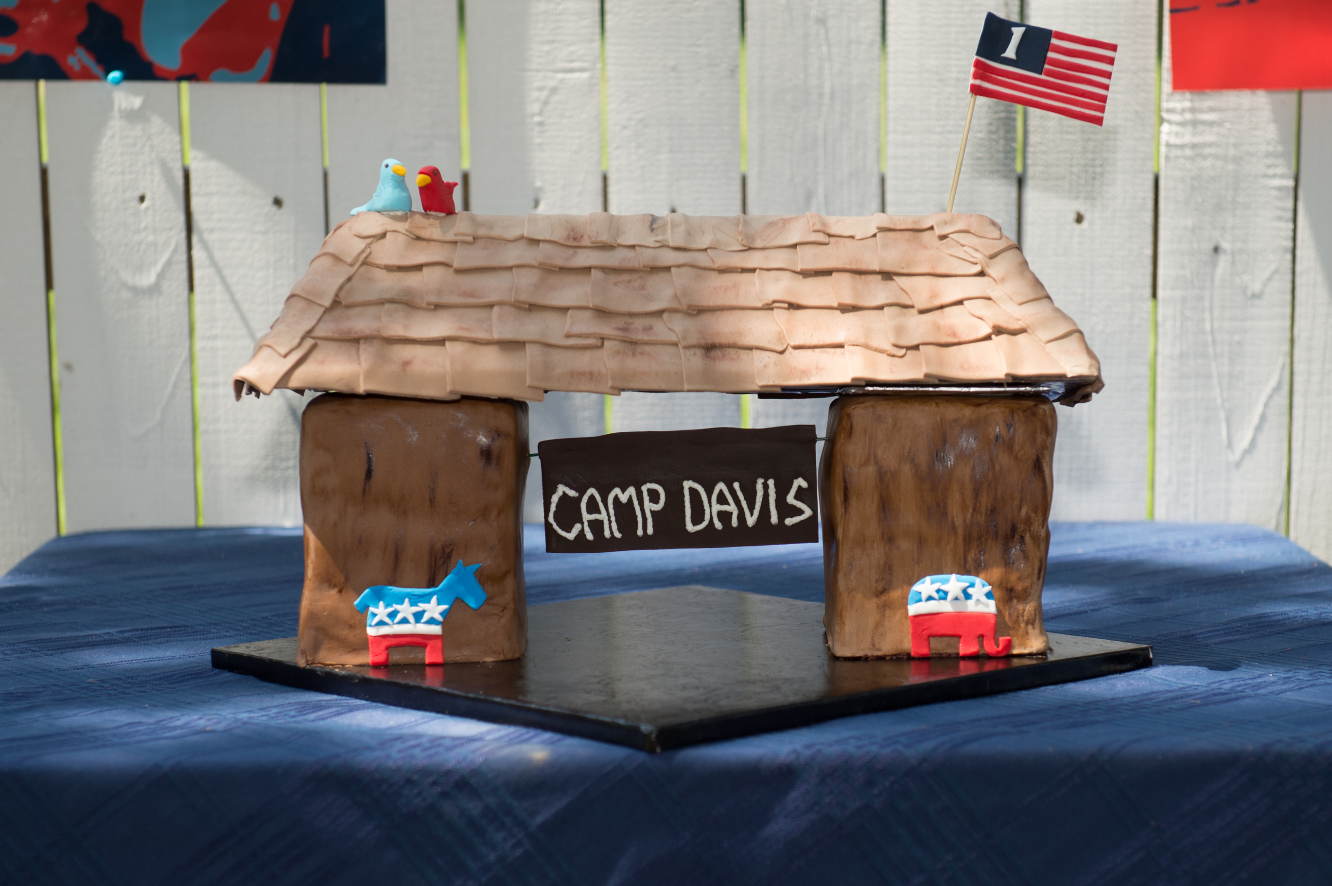 Camp Davis Birthday Cake