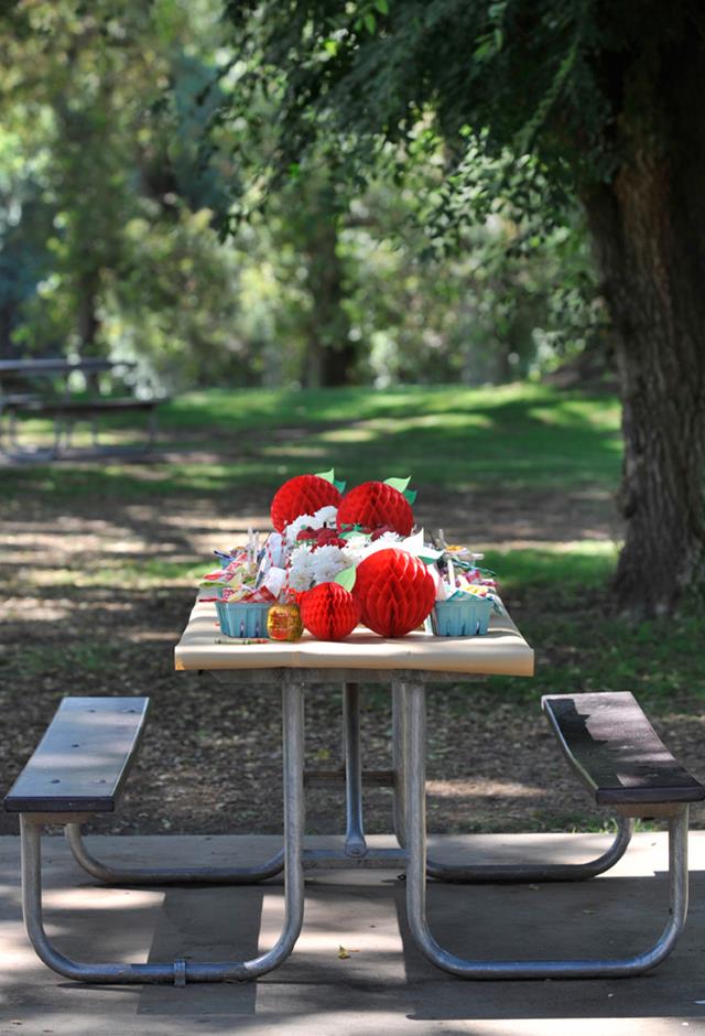 Back-to-School Picnic Table Decor