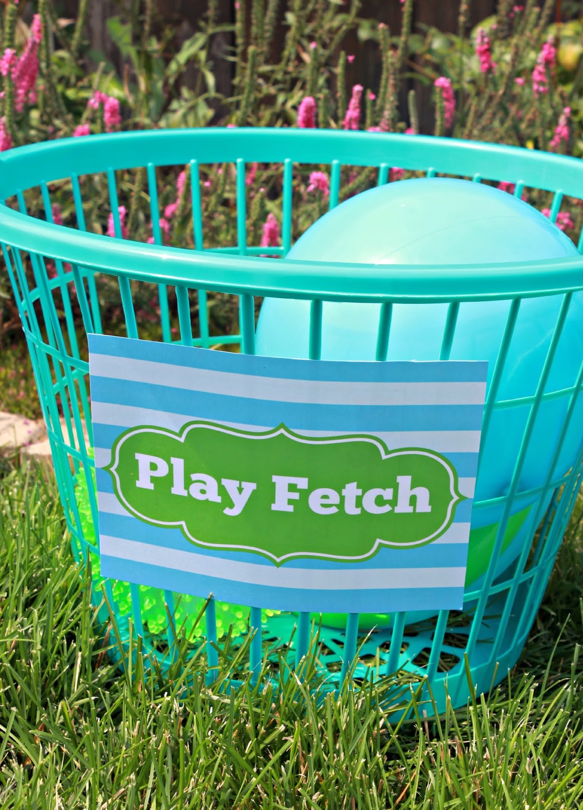 Play Fetch Puppy Birthday Party Activities