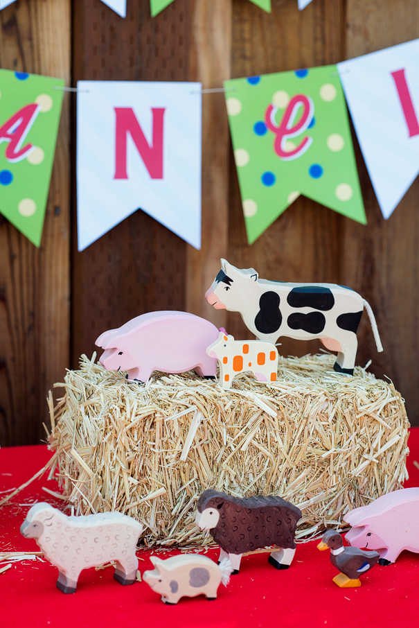 Barnyard Birthday Party Decor