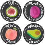 Pregnancy Bump Stickers