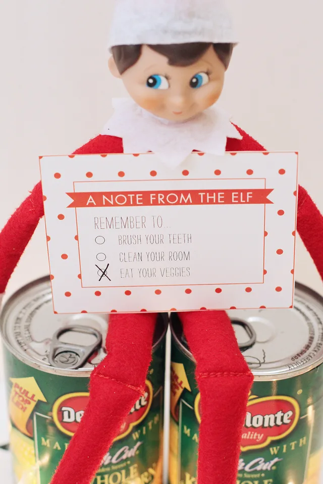 Elf on the Shelf Notes - The Project Nursery Shop