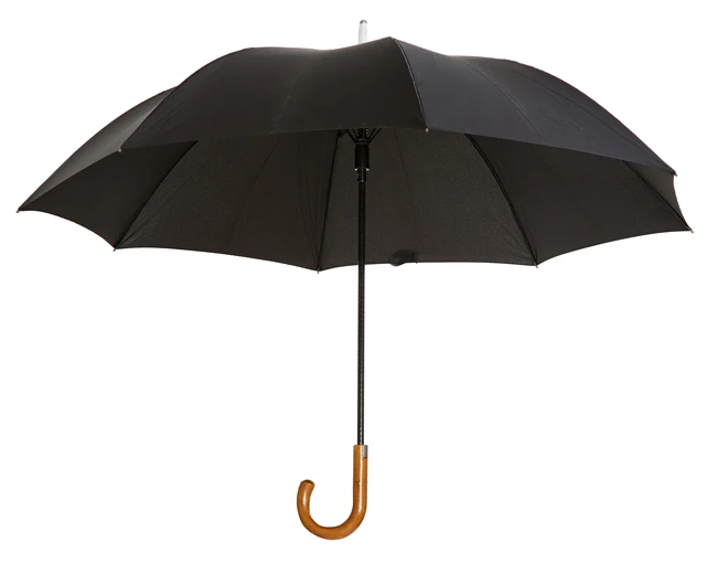 Paddington Umbrella