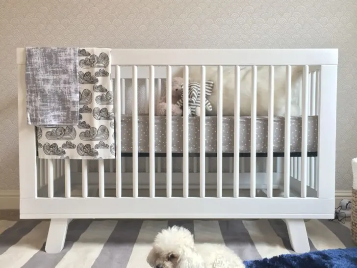 Animal Shop Prints in this Modern Blue, Grey & Gold Nursery