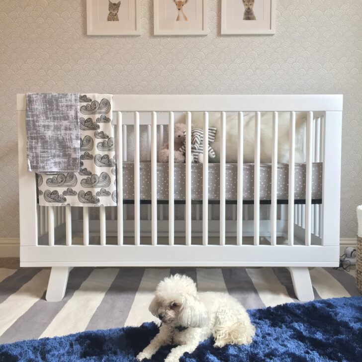 Animal Shop Prints in this Modern Blue, Grey & Gold Nursery