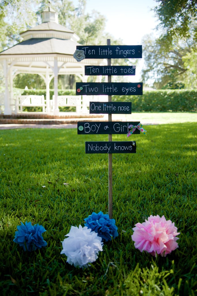 Gender Reveal Party on the Lawn - Project Nursery