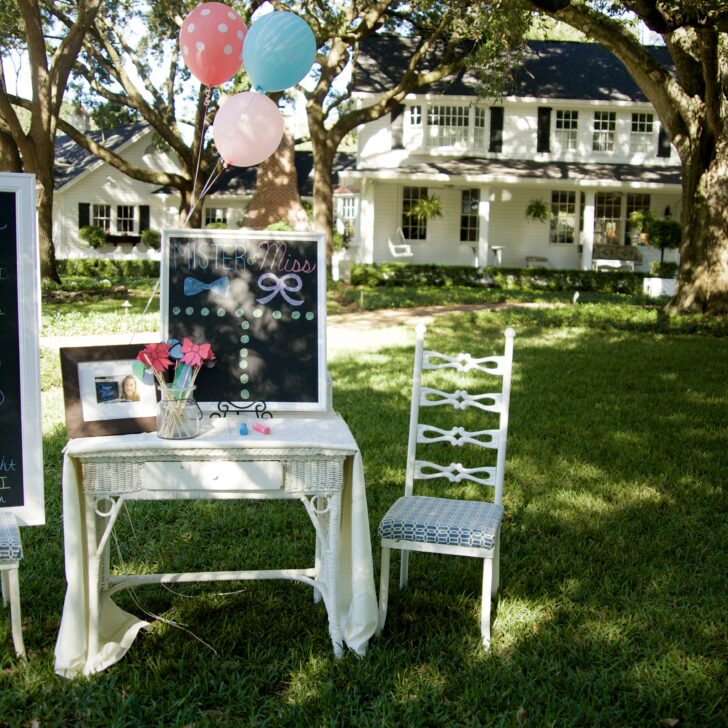 Gender Reveal Party on the Lawn - Project Nursery