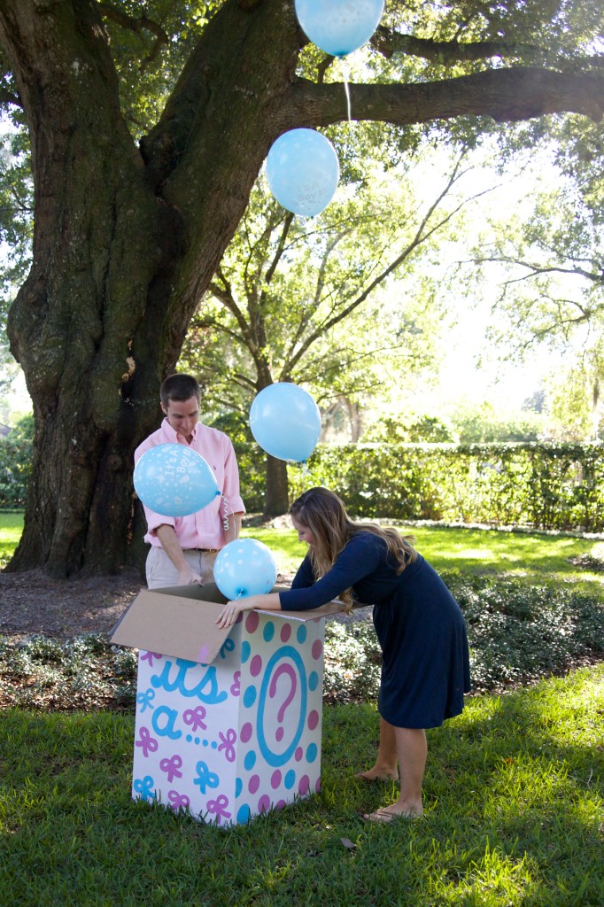 Gender Reveal Party on the Lawn - Project Nursery