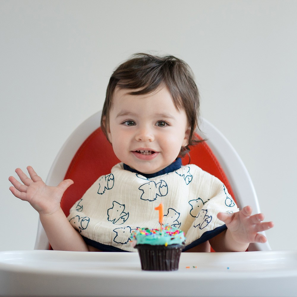 Luxury Ultimate Four Layer Bib + Burp Cloth from Monica + Andy