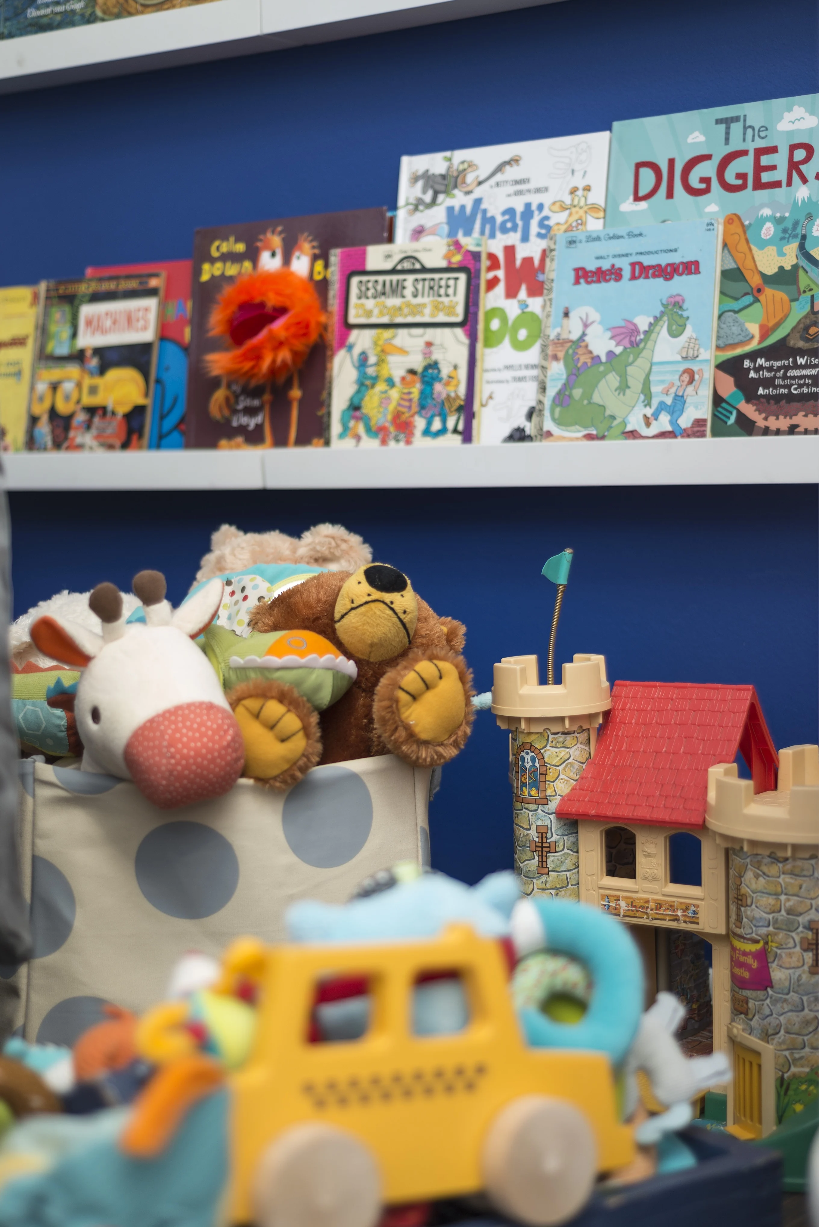 Nursery Book Shelves Wall Library