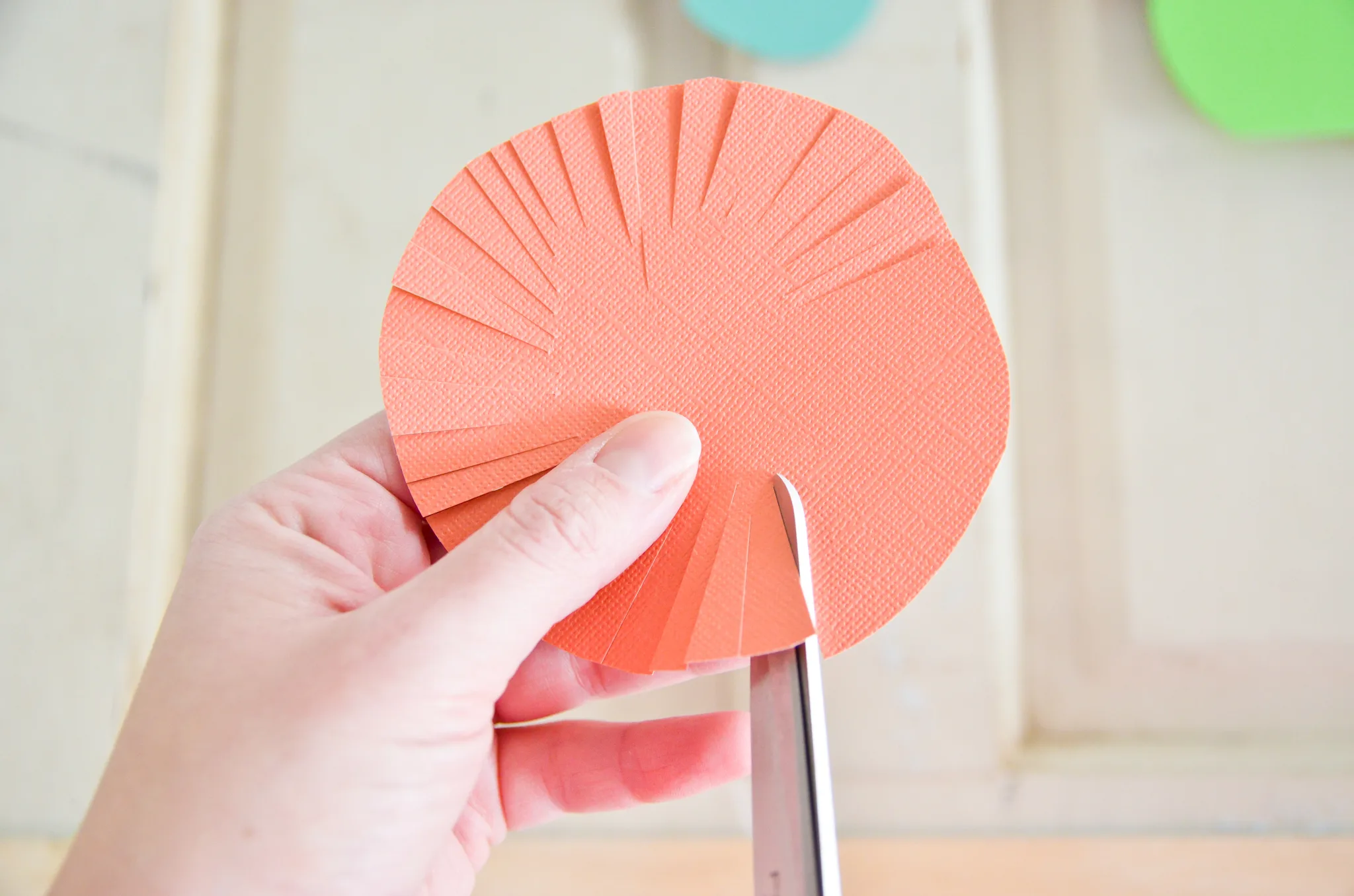 DIY Paper Flowers