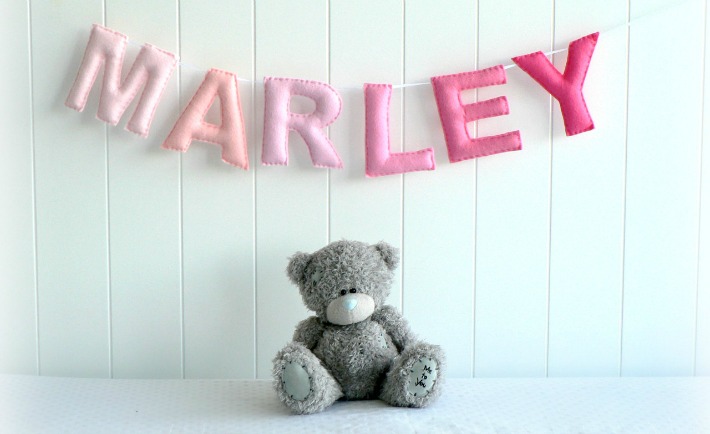 Ombre Felt Name Banner