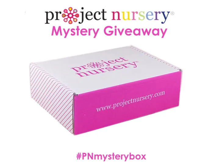 Nursery Mystery Prize