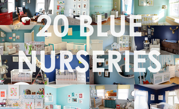 Cute Baby Blue Jay Nursery Art · Creative Fabrica