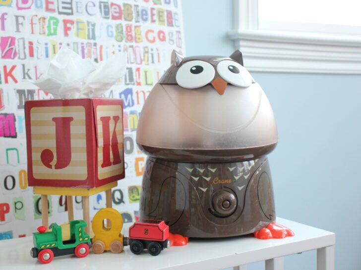 Owl Cool Mist Humidifier from Crane