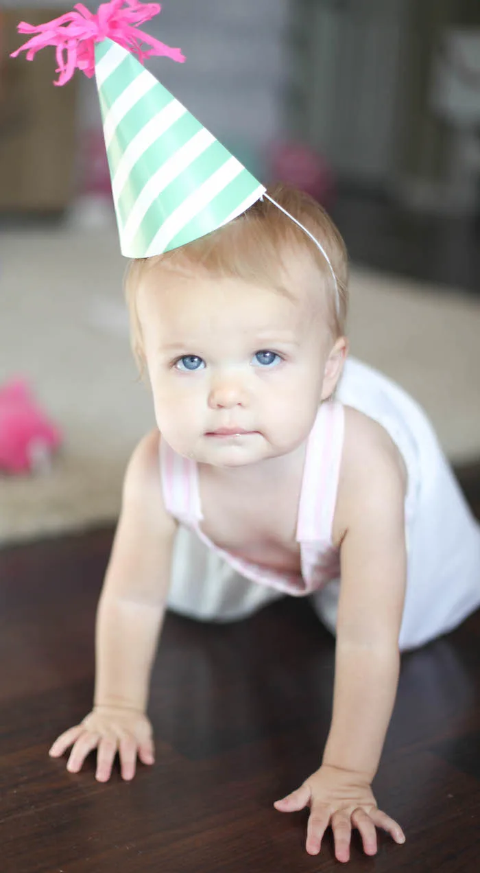 Hot Pink and Mint First Birthday Party Hat