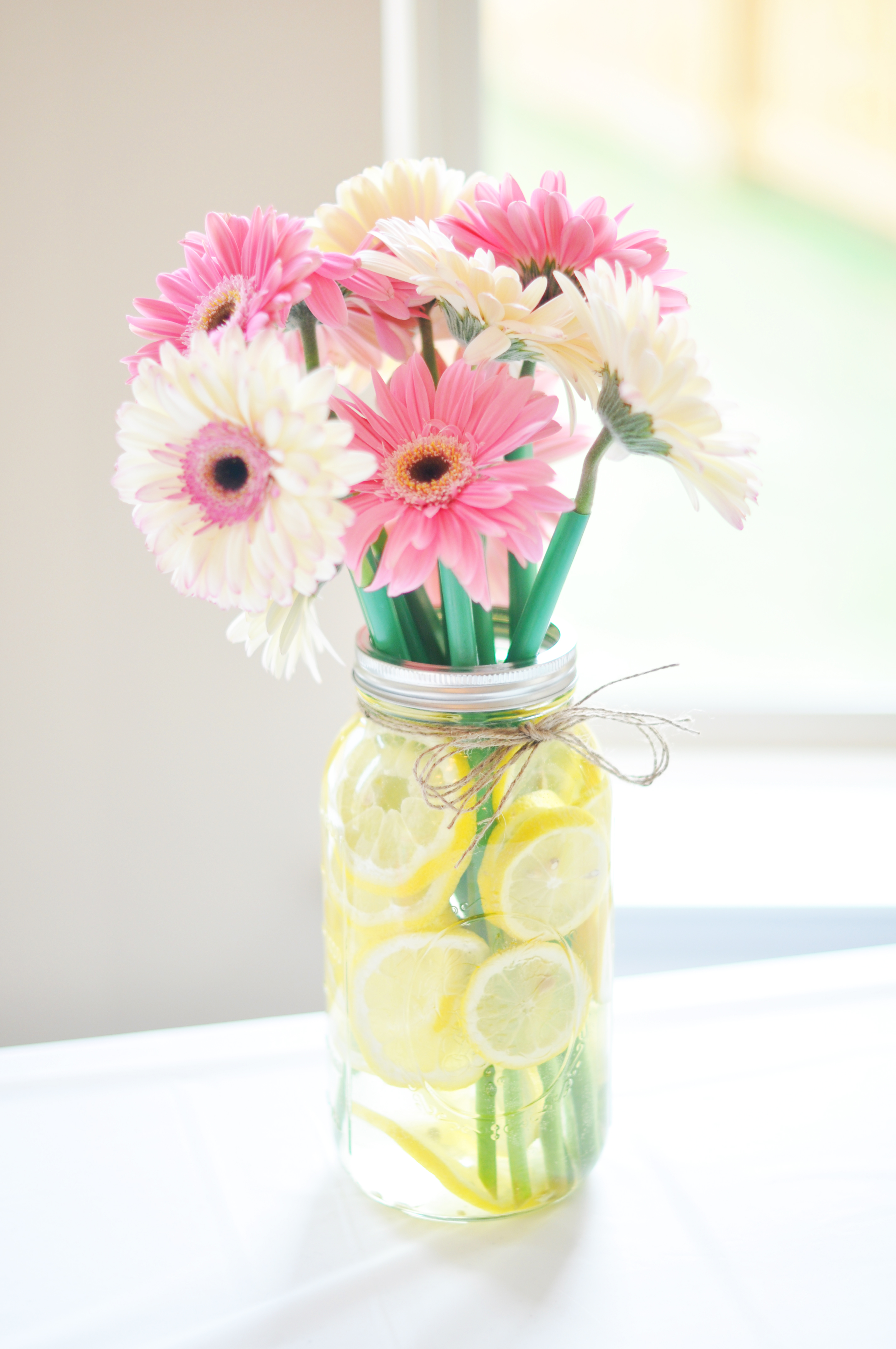 Gerbera Daisies in Mason Jar with Lemons