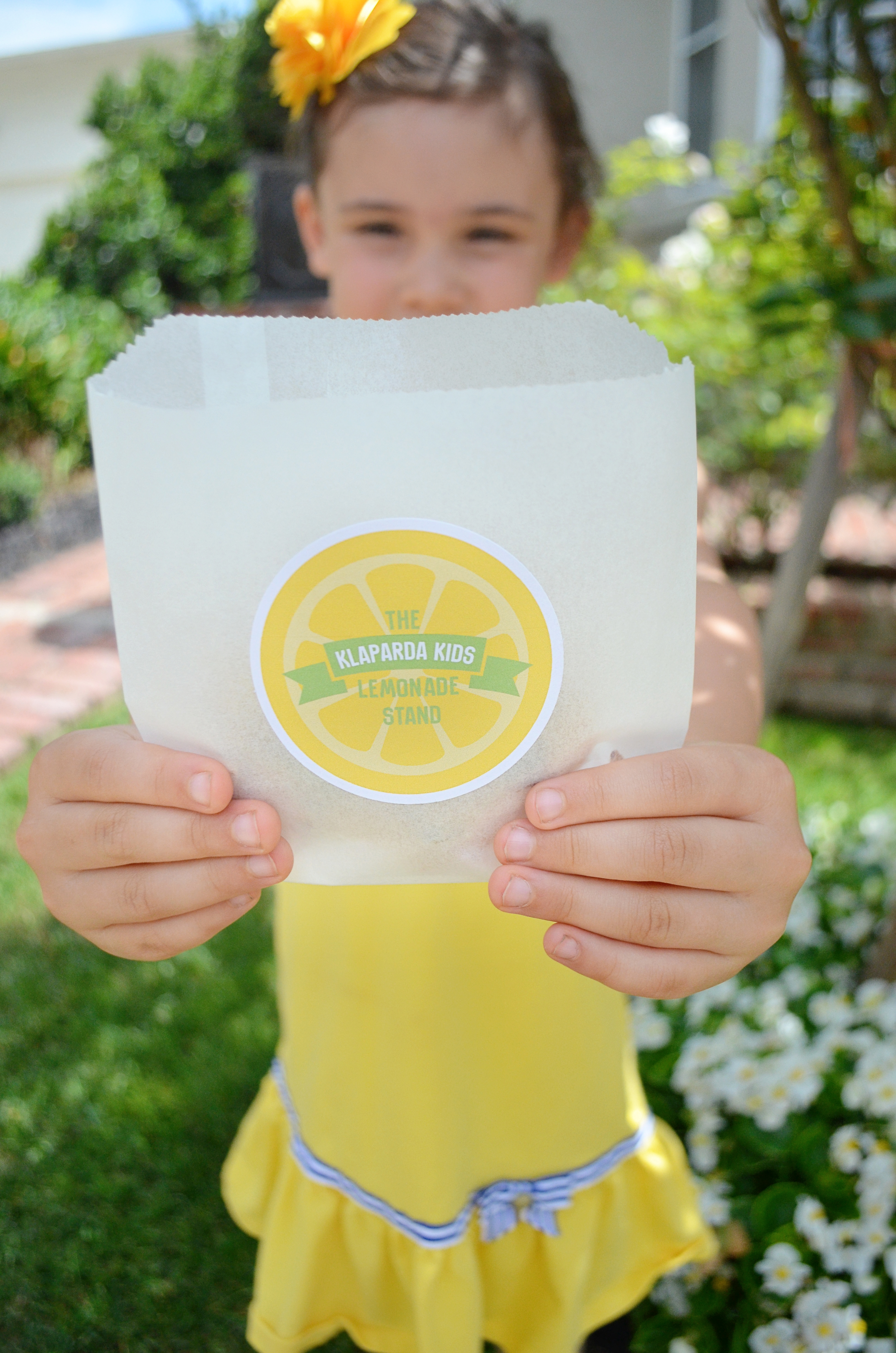 Neighborhood Lemonade Stand - Project Nursery