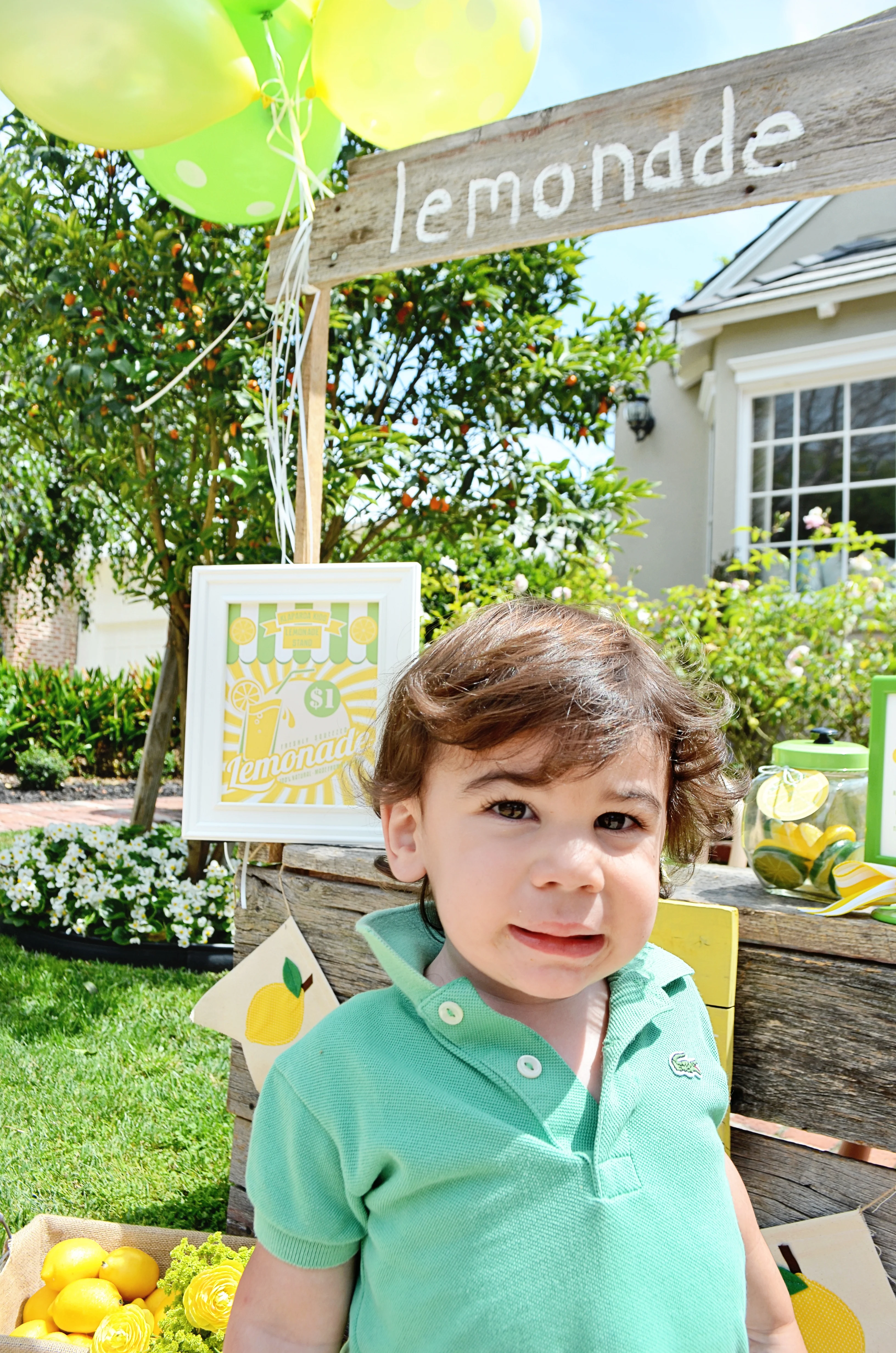 Lemonade Stand - Project Nursery