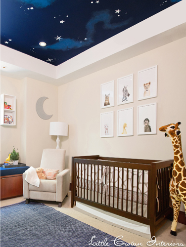 Neutral Blue Boy's Nursery