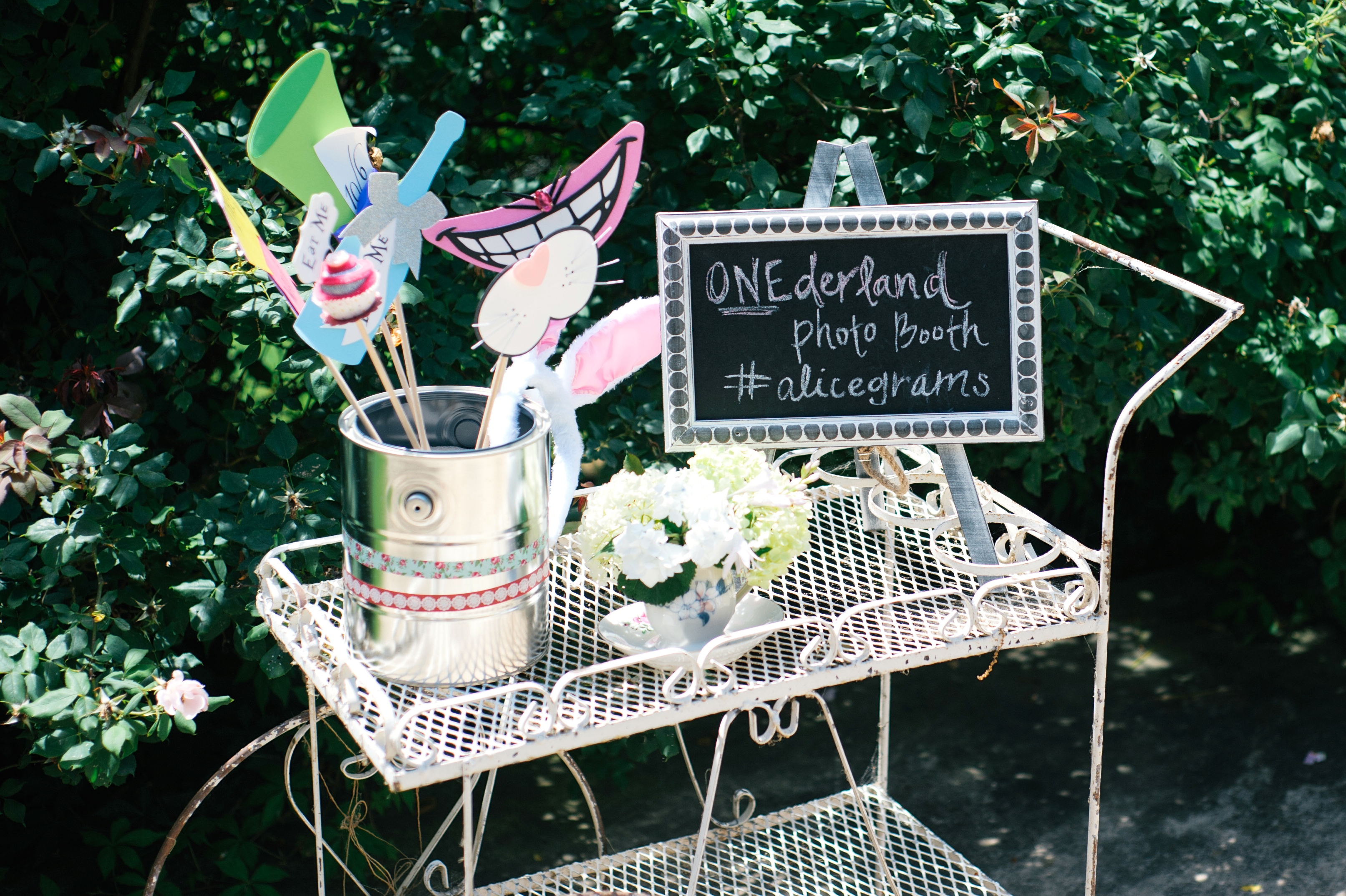 Alice in Wonderland Vintage Tea Birthday Party - Project Nursery