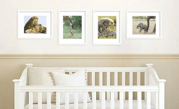 Baby Animal Prints by Suzi