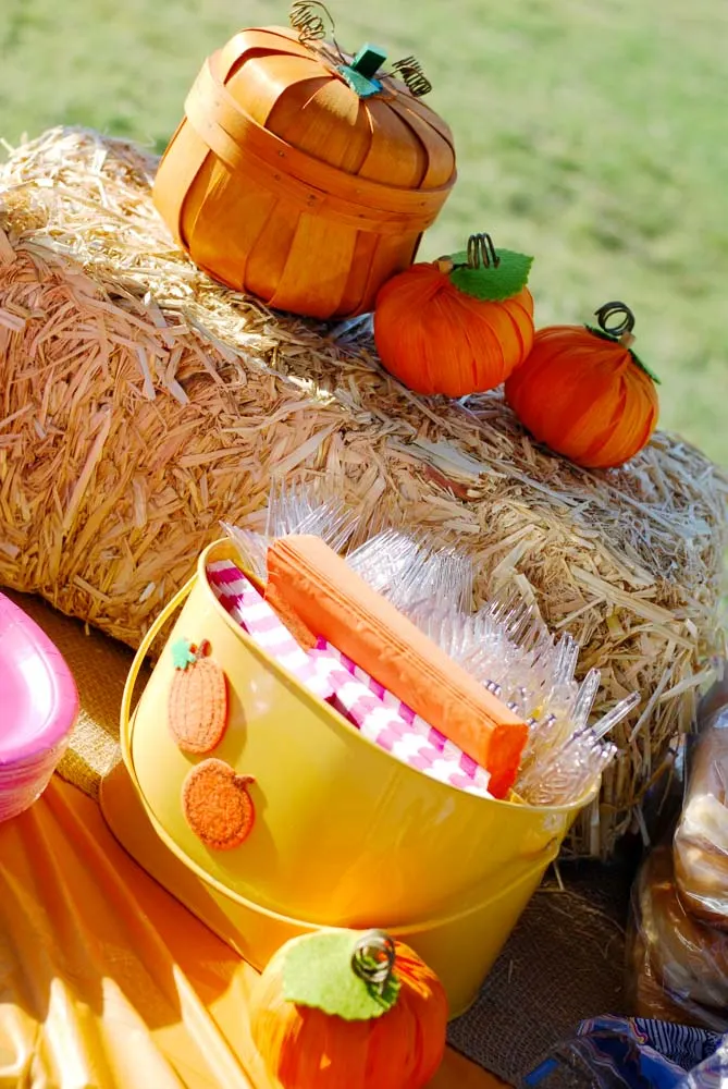 Pumpkin-Themed Birthday Party - Project Nursery