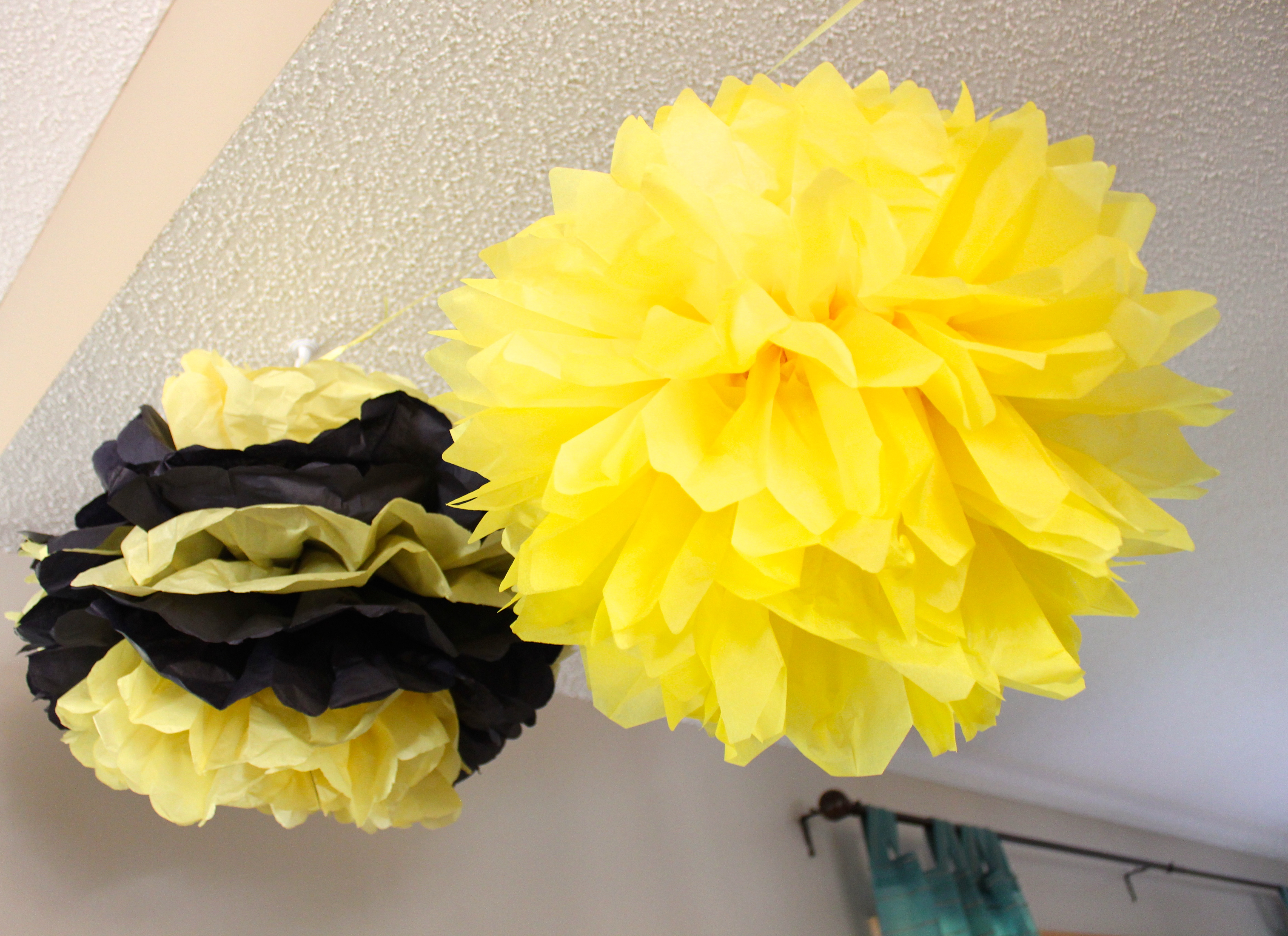 HappyField Honey and Bee Baby Shower Decorations Yellow Cream Black Tissue  Paper Pom Poms Flower Paper Lanterns for Honey Bee