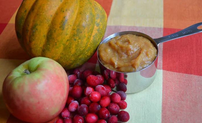 Winter Squash Baby Food - Project Nursery