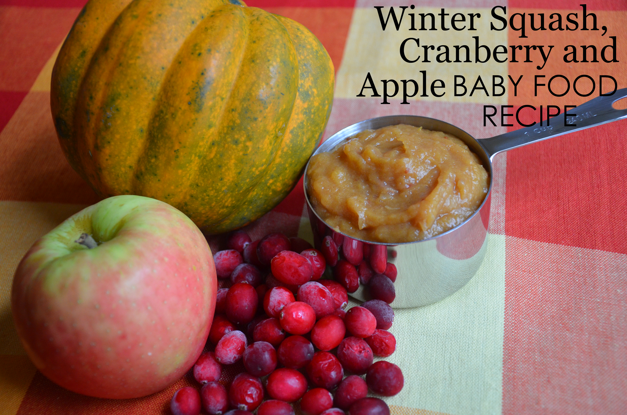 Winter Squash Cranberry Apple Baby Food Recipe - Project Nursery