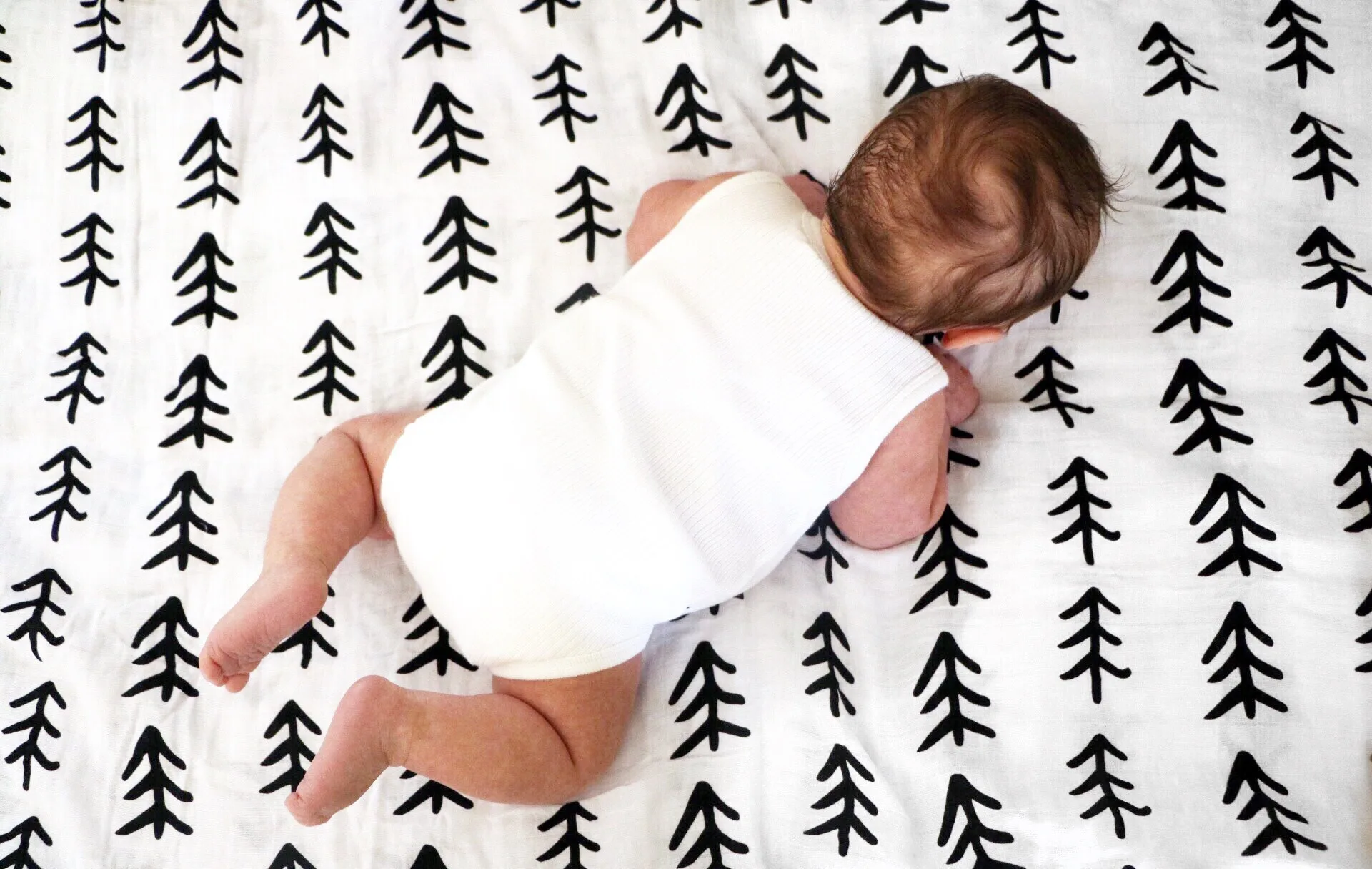 Trees Organic Muslin Swaddle